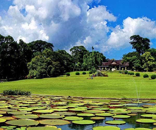 Rekreasi Alam Terpopuler Di Bogor
